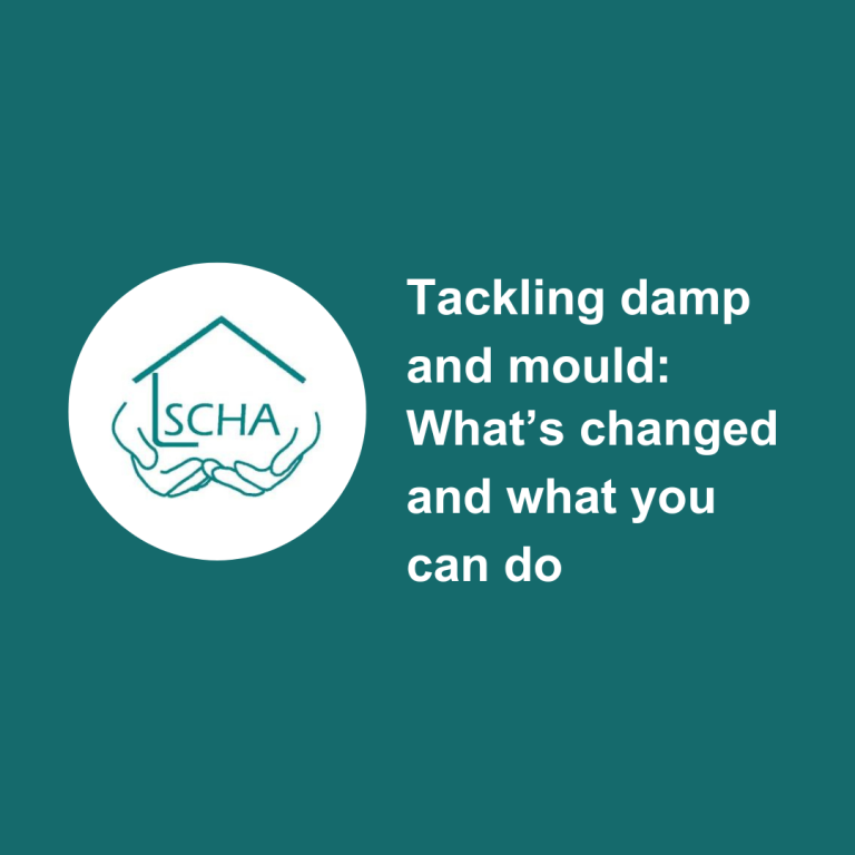 Tackling damp and mould: What’s changed and what you can do