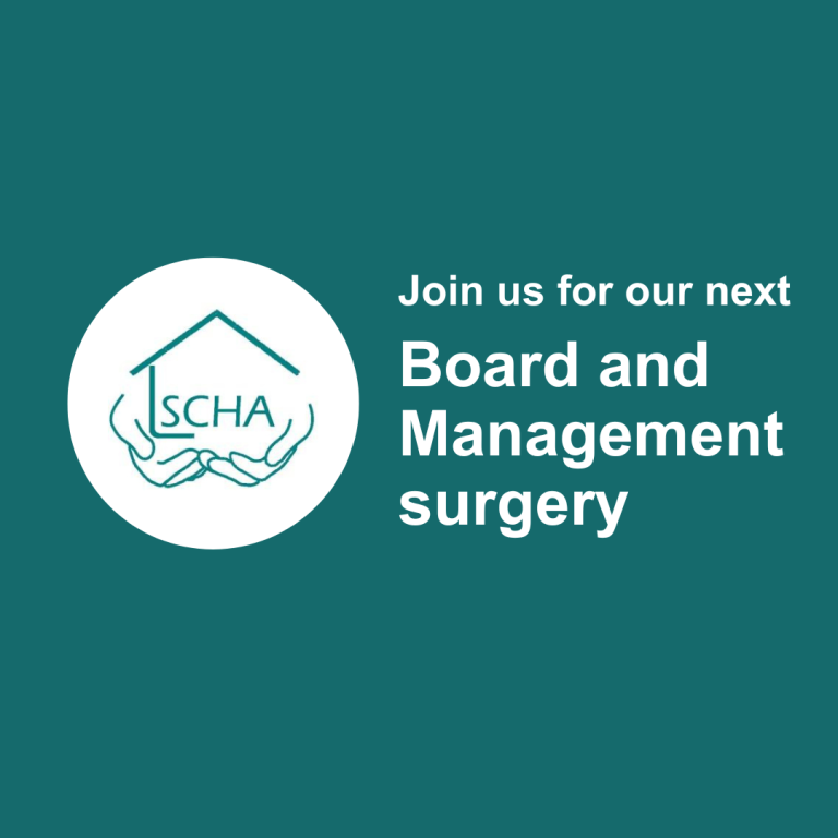 Board and senior management surgeries
